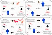 Global Dilemma and Needs Assessment Toward Achieving Sustainable Development Goals in Controlling Leishmaniasis