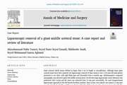 Laparoscopic removal of a giant middle ureteral stone: A case report and review of literature