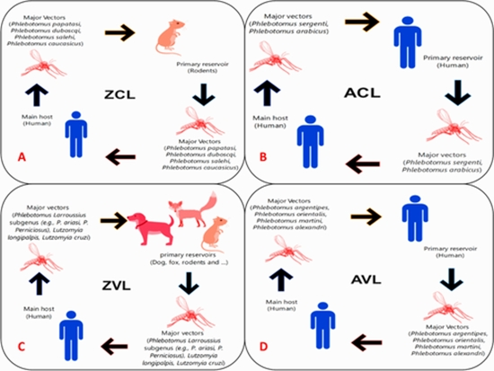 Global Dilemma and Needs Assessment Toward Achieving Sustainable Development Goals in Controlling Leishmaniasis {faces}