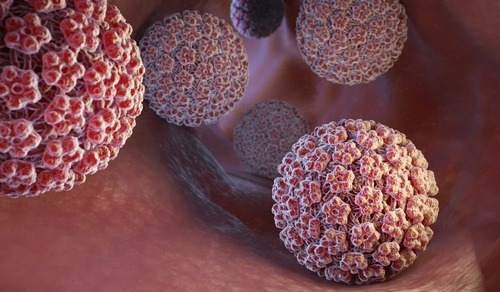 آشنایی با انواع HPV (ویروس پاپیلومای انسانی)